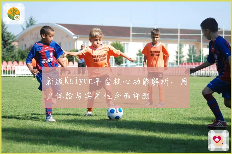 新版Kaiyun平台核心功能解析,用户体验与实用性全面评测