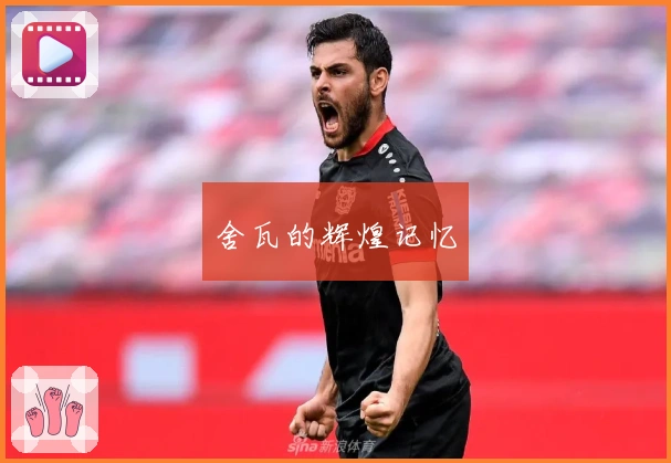 舍瓦的辉煌记忆