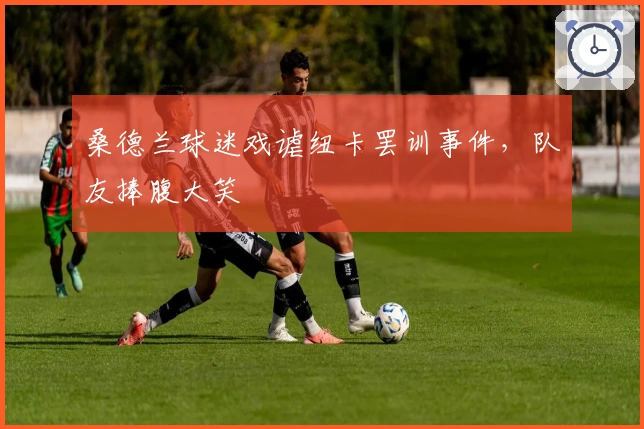 桑德兰球迷戏谑纽卡罢训事件，队友捧腹大笑