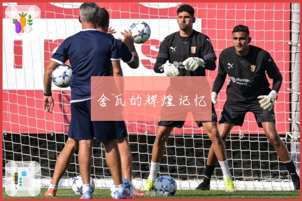 舍瓦的辉煌记忆